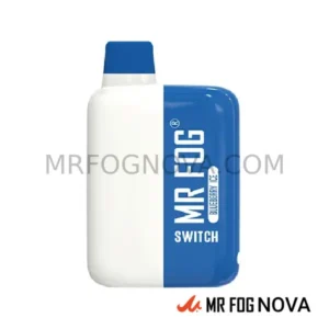 Mr Fog Switch 5500 Puffs - Disposable Vape - Blueberry Ice