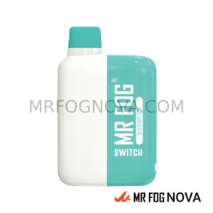 Mr Fog Switch 5500 Puffs - Disposable Vape - Blueberry Kiwi