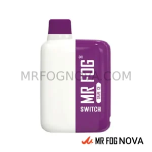 Mr Fog Switch 5500 Puffs - Disposable Vape - Grape Ice