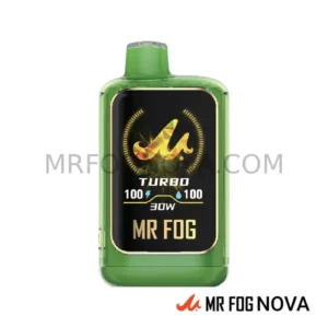Mr Fog Nova Mint Steezy 36k Puffs - Disposable Vape - Miami