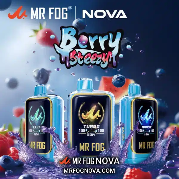 Mr Fog Nova Berry Steezy 36k Puffs - Disposable Vape
