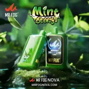 Mr Fog Nova Mint Steezy 36k Puffs - Disposable Vape