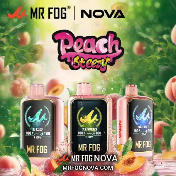 Mr Fog Nova Peach Steezy 36k Puffs - Disposable Vape