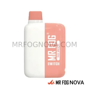 Mr Fog Switch 5500 Puffs - Disposable Vape - Peach Apricot Ice