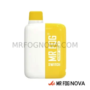Mr Fog Switch 5500 Puffs - Disposable Vape - Raspberry Banana Ice