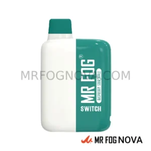 Mr Fog Switch 5500 Puffs - Disposable Vape - Raspberry Sour Apple