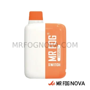 Mr Fog Switch 5500 Puffs - Disposable Vape - Strawnana