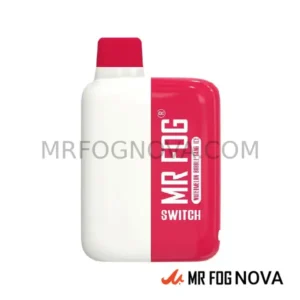 Mr Fog Switch 5500 Puffs - Disposable Vape - Watermelon Bubble Gang Ice